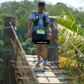 Runner Photo 5169110