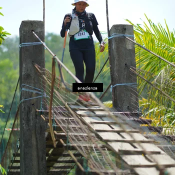 Runner Photo 5169782