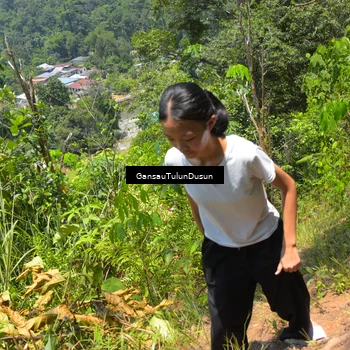 Runner Photo 5171076