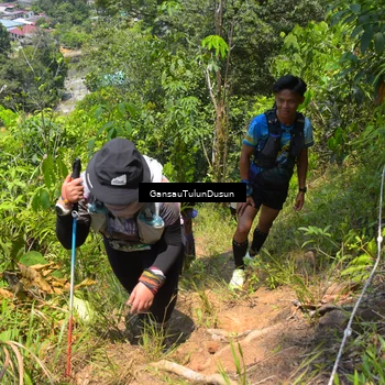 Runner Photo 5171094