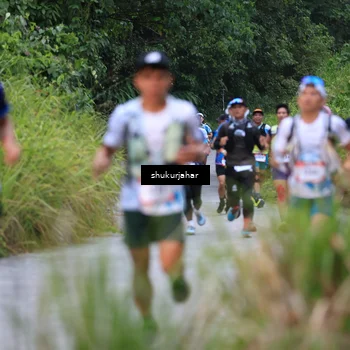 Runner Photo 5171760