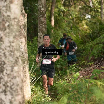 Runner Photo 5172344