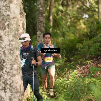 Runner Photo 5172441