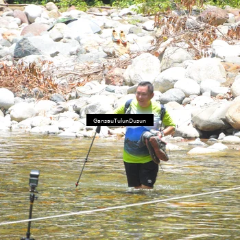 Runner Photo 5172703