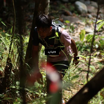 Runner Photo 5173549