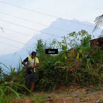 Runner Photo 5173714