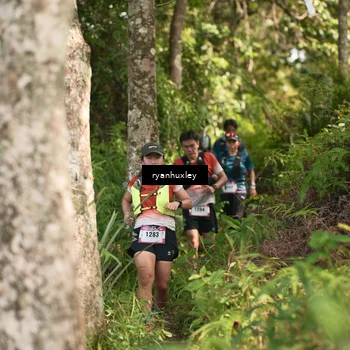 Runner Photo 5173786