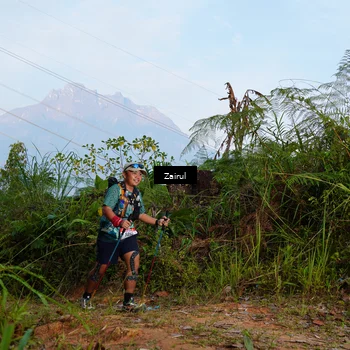 Runner Photo 5174060