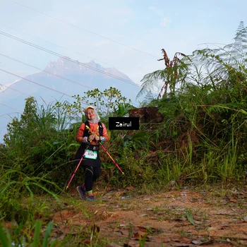 Runner Photo 5174097