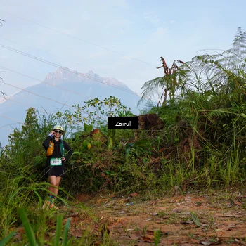 Runner Photo 5174139