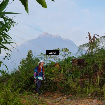 Runner Photo 5174202