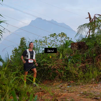 Runner Photo 5174255