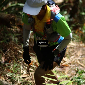 Runner Photo 5174351