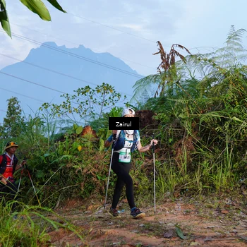 Runner Photo 5174386