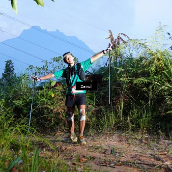 Runner Photo 5174435