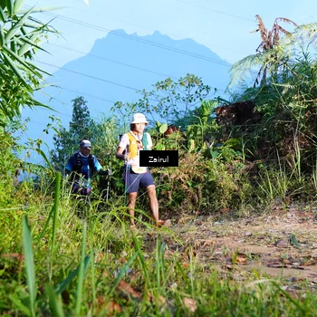Runner Photo 5174452