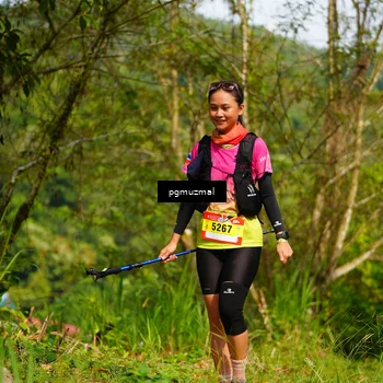 Runner Photo 5174698