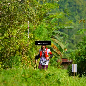 Runner Photo 5174795
