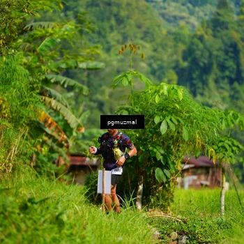 Runner Photo 5174819