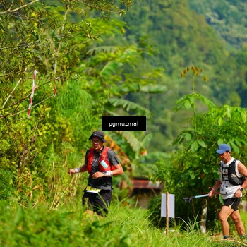Runner Photo 5174824