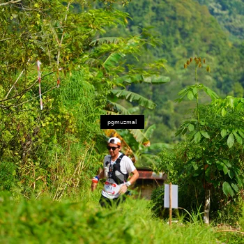 Runner Photo 5174852