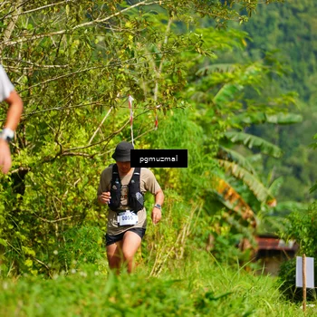 Runner Photo 5174885