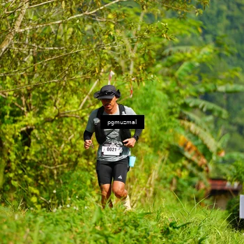 Runner Photo 5174905