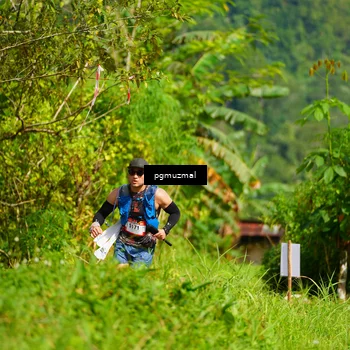Runner Photo 5174919