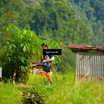 Runner Photo 5174956