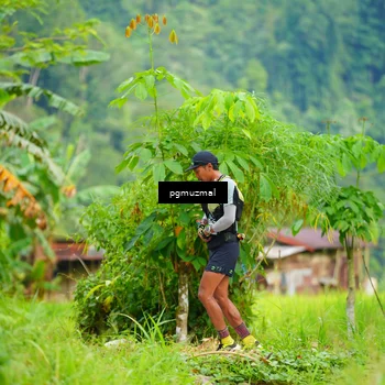 Runner Photo 5174992