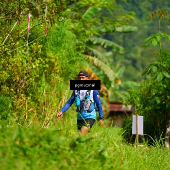 Runner Photo 5175032