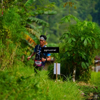 Runner Photo 5175135