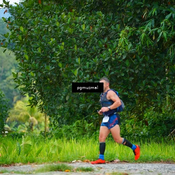 Runner Photo 5175136