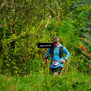 Runner Photo 5175137