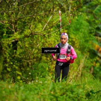 Runner Photo 5175186