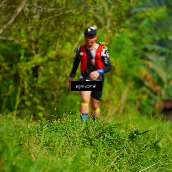 Runner Photo 5175241