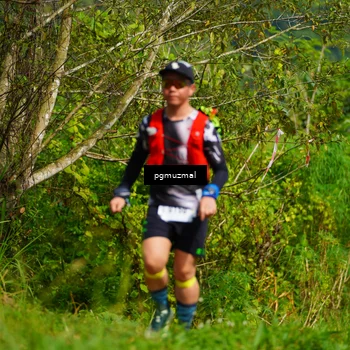 Runner Photo 5175271