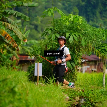 Runner Photo 5175272