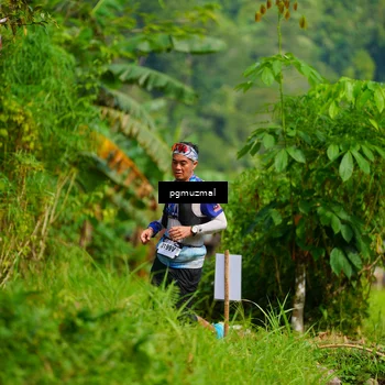 Runner Photo 5175300