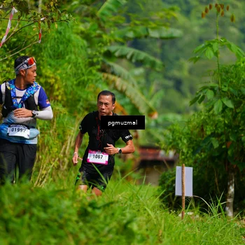 Runner Photo 5175301