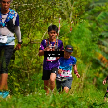 Runner Photo 5175302