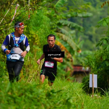 Runner Photo 5175303