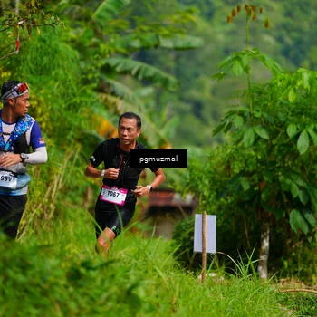 Runner Photo 5175310