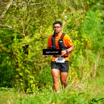 Runner Photo 5175411