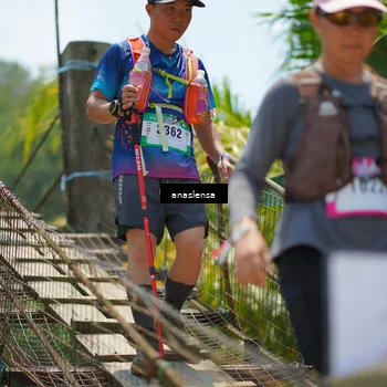 Runner Photo 5175418
