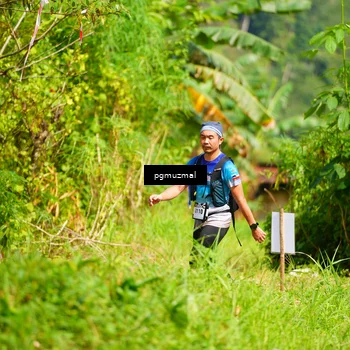 Runner Photo 5175456