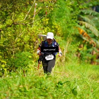 Runner Photo 5175478