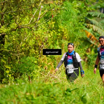 Runner Photo 5175499
