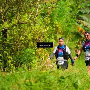 Runner Photo 5175502