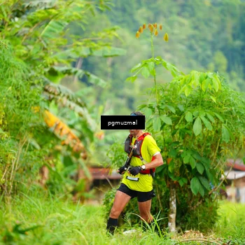 Runner Photo 5175562